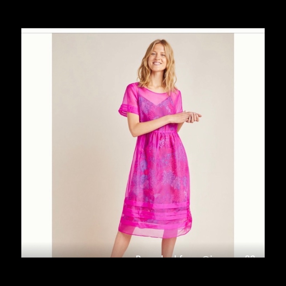 Anthropologie Gabrielle silk organza midi dress 10